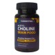 PurchasepeptidesEco AcetylCholine Brain Food 60 Капсул